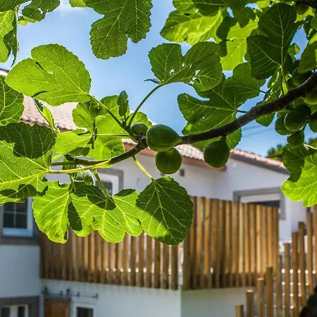 Mar Do - Boutique Ézaro