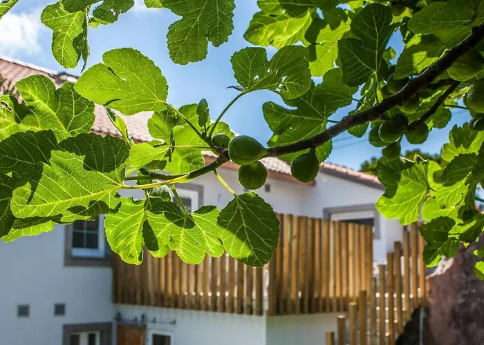 Mar Do - Boutique Ézaro